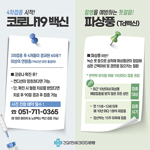 팝업